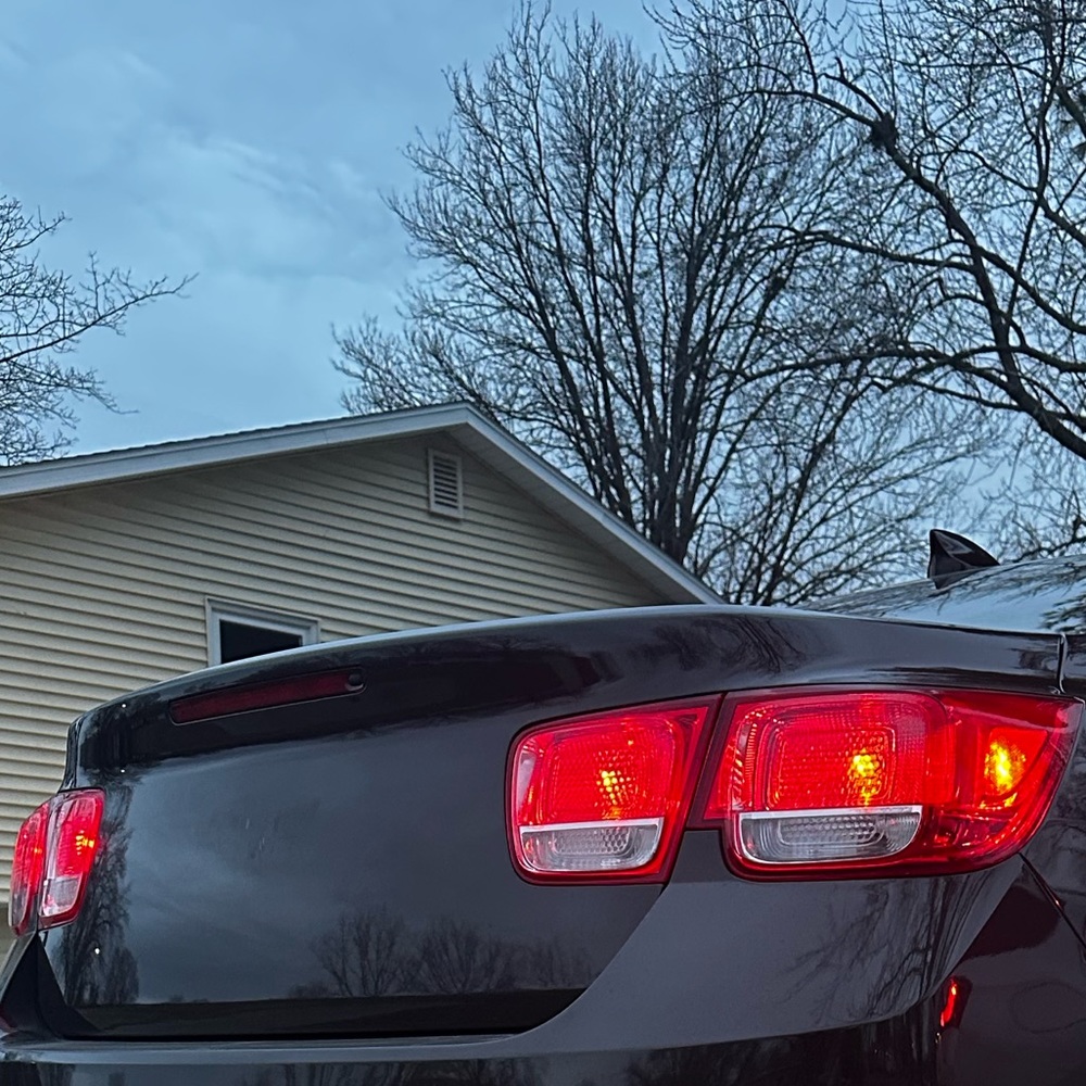 Meet your Posher, Shane